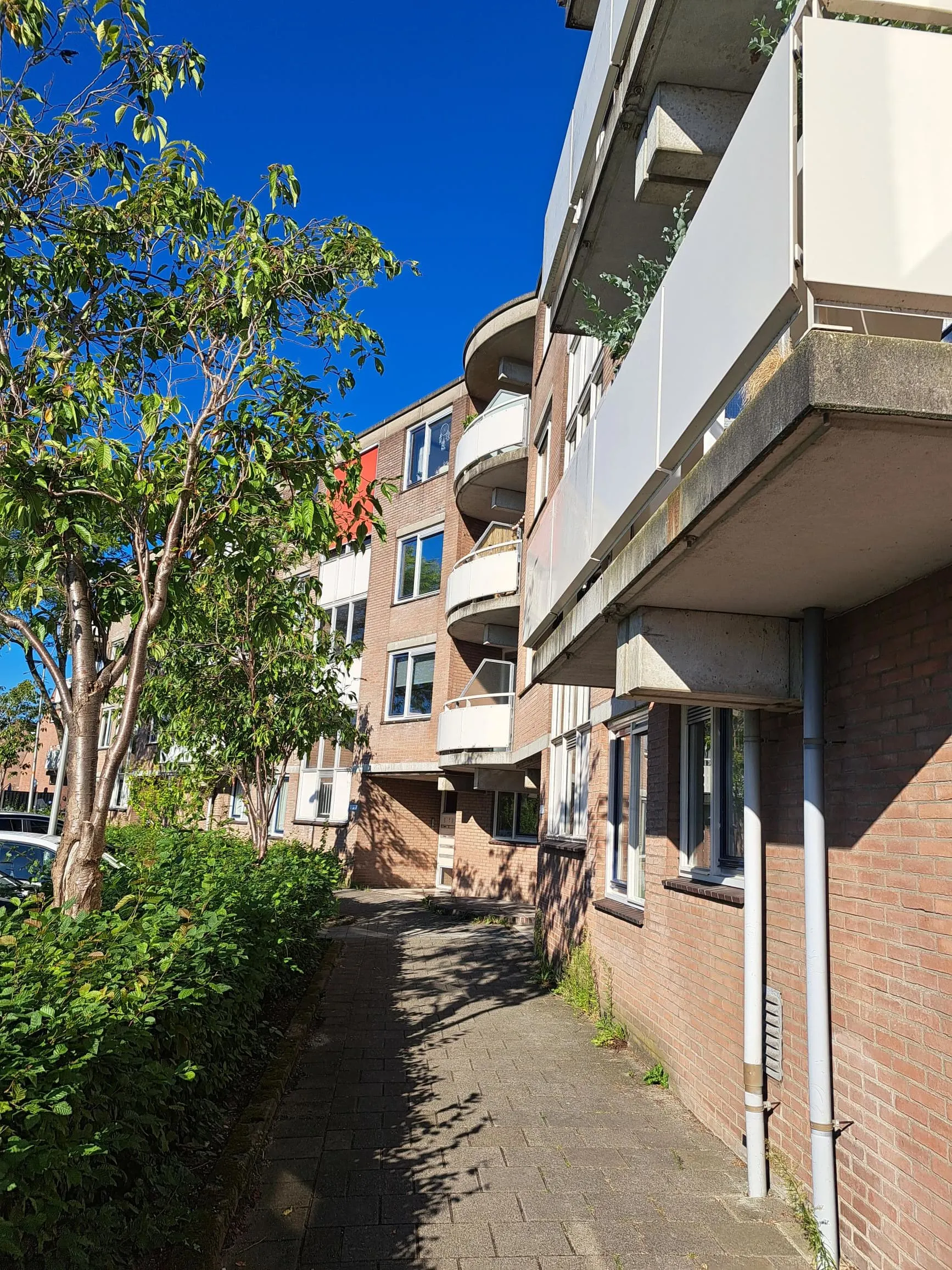 Ganzendaal