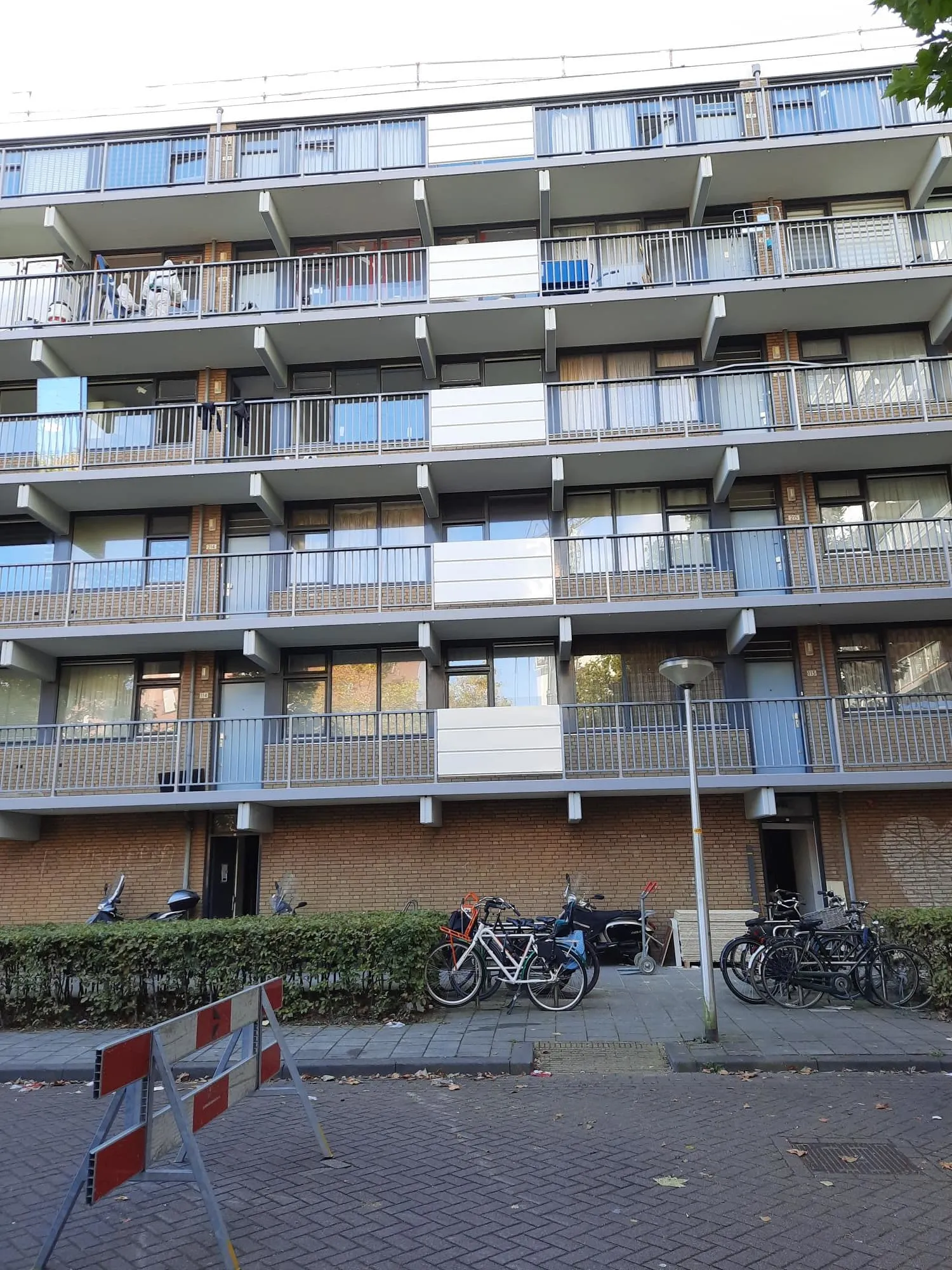 Beukenhorst