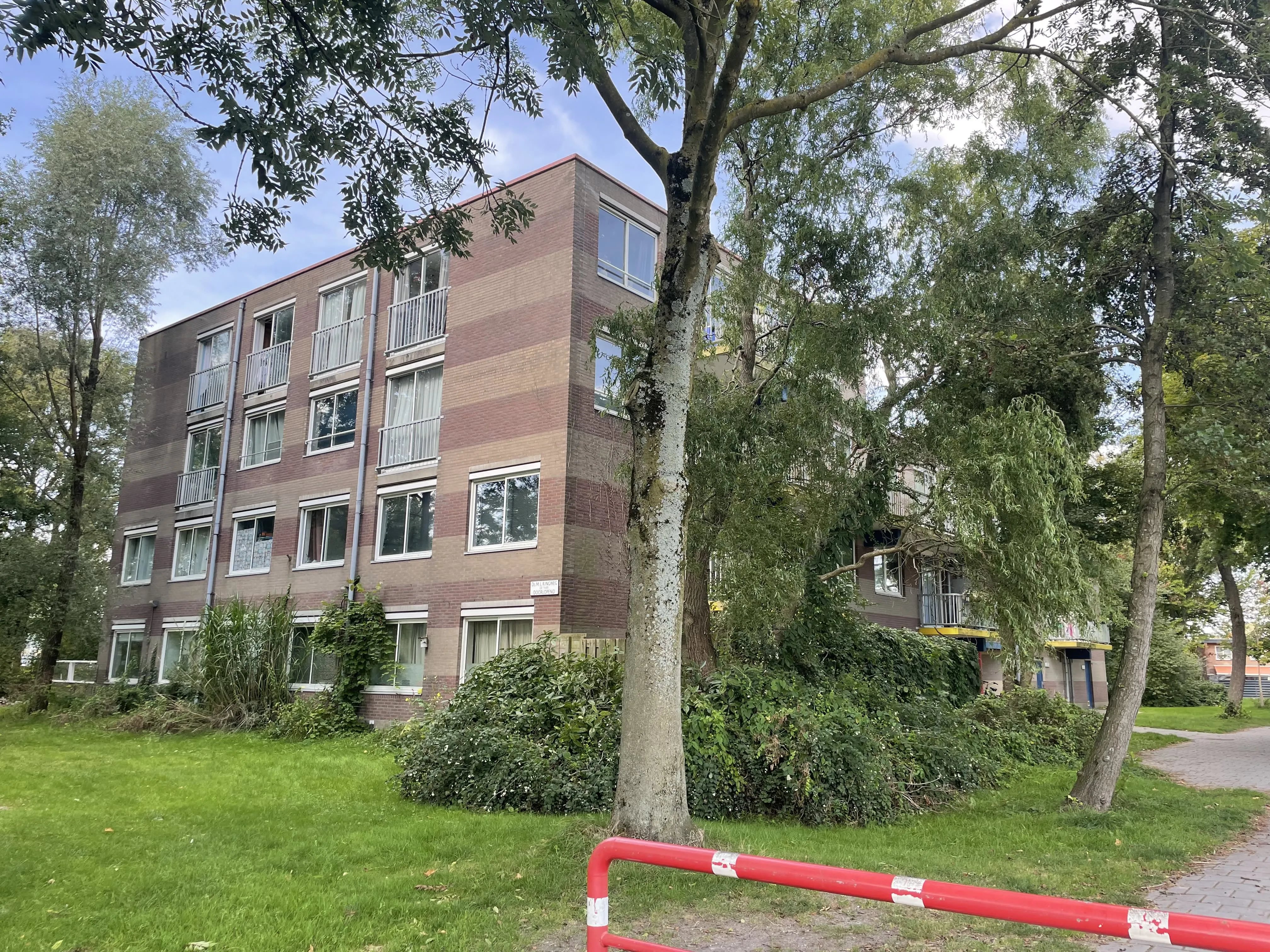 Ds. Martin Luther Kingweg