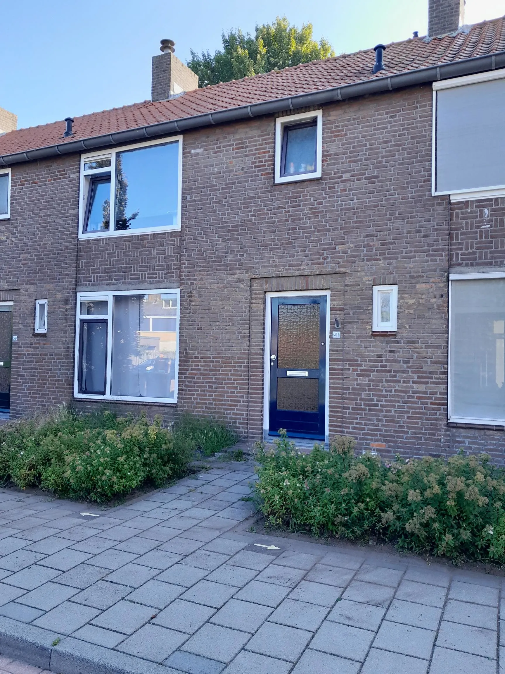 Wilhelminastraat