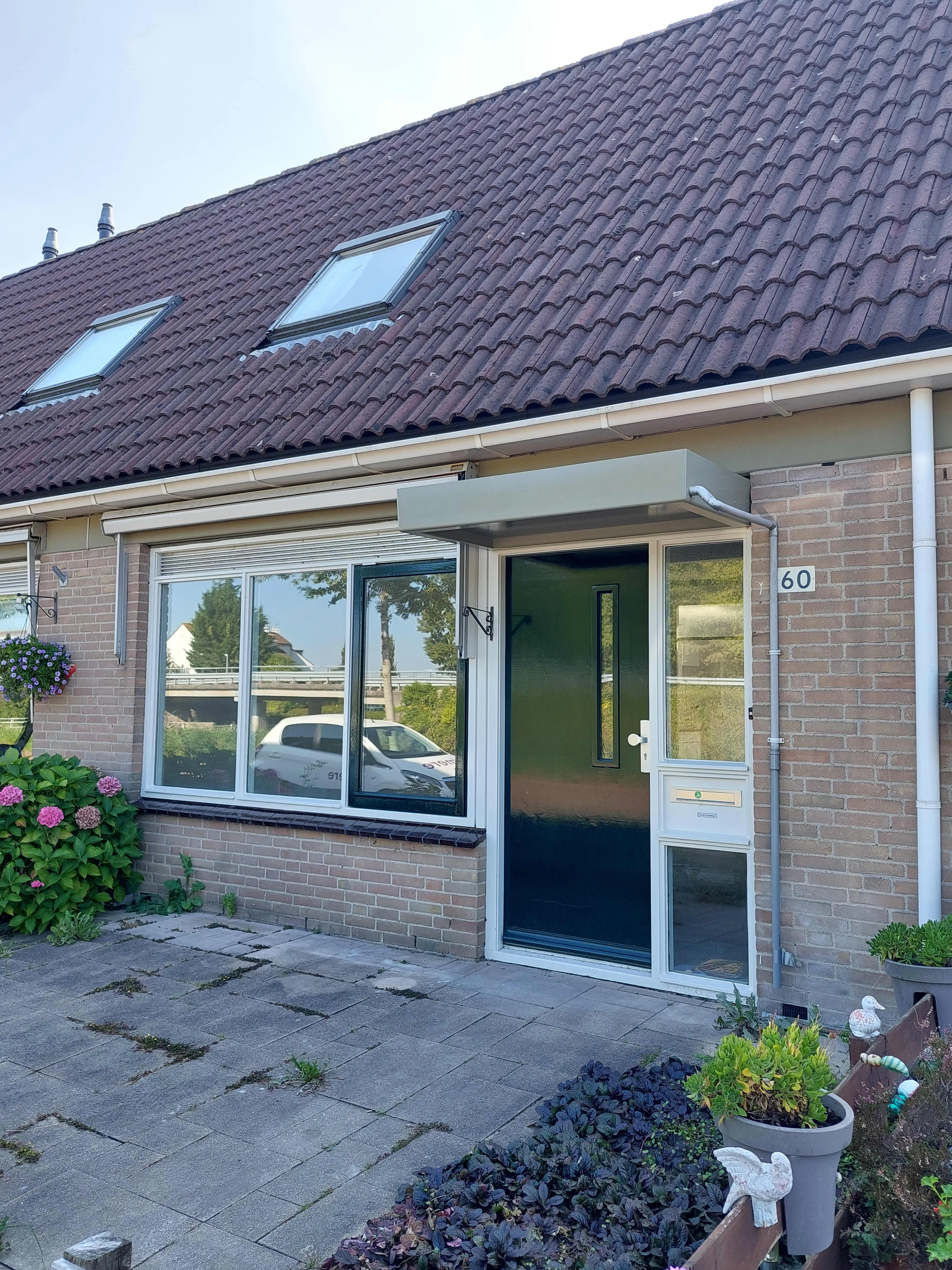 Albergerbos