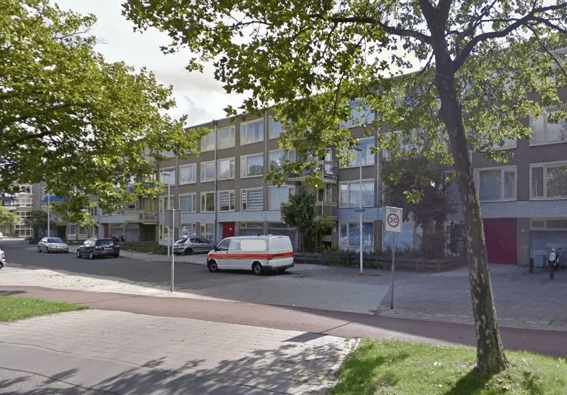 Tigrisdreef
