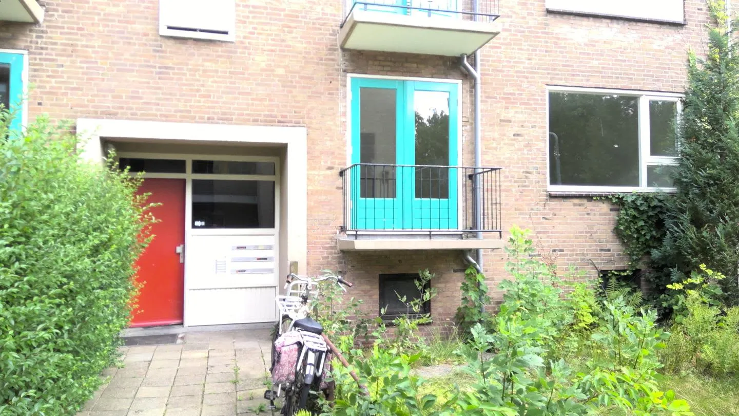 Buisweg