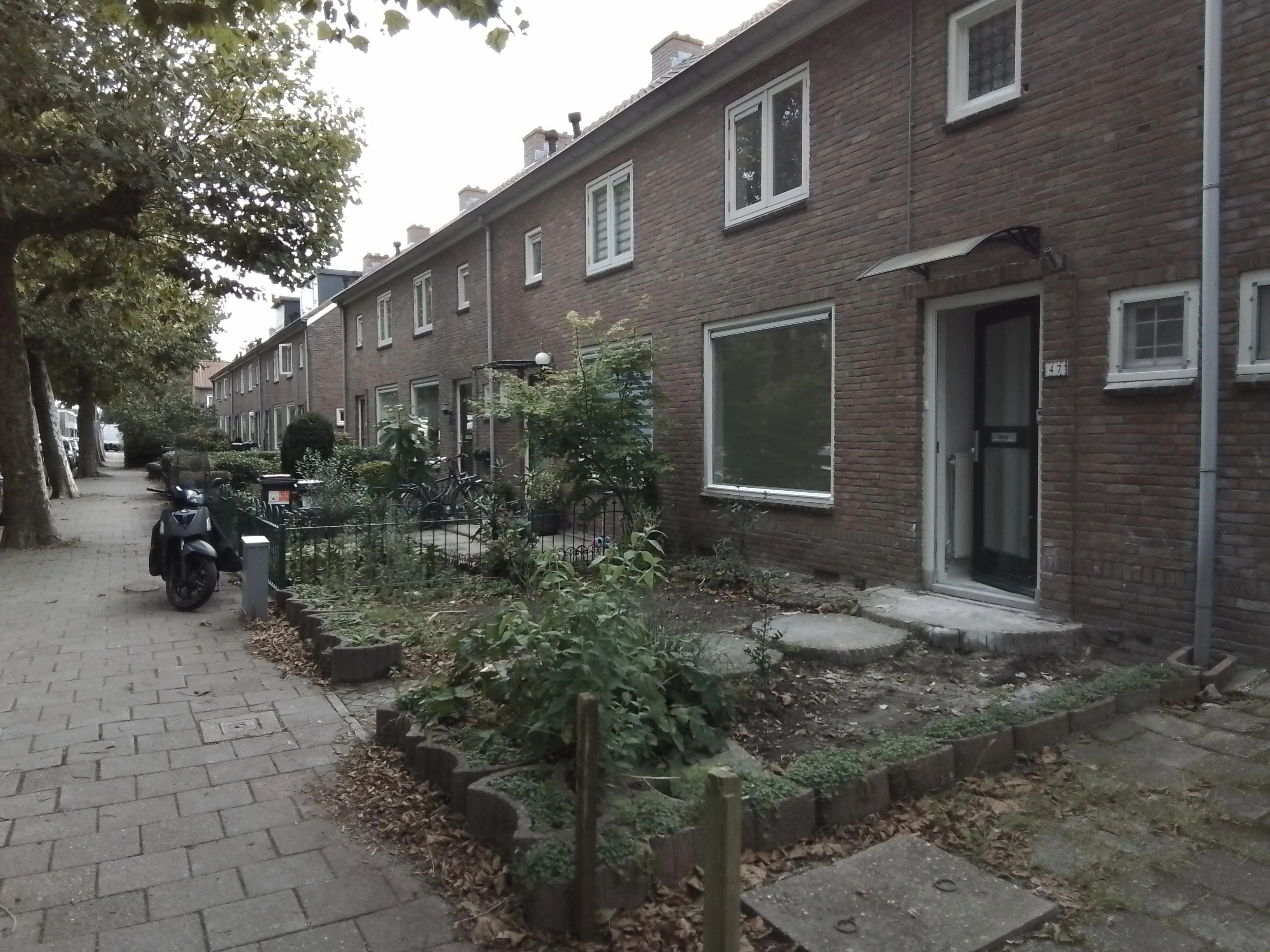 Jan van Gentstraat