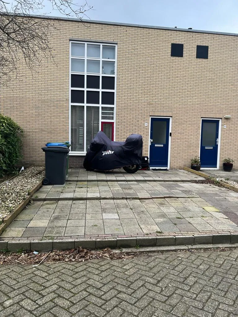 Vogelwikkeveld