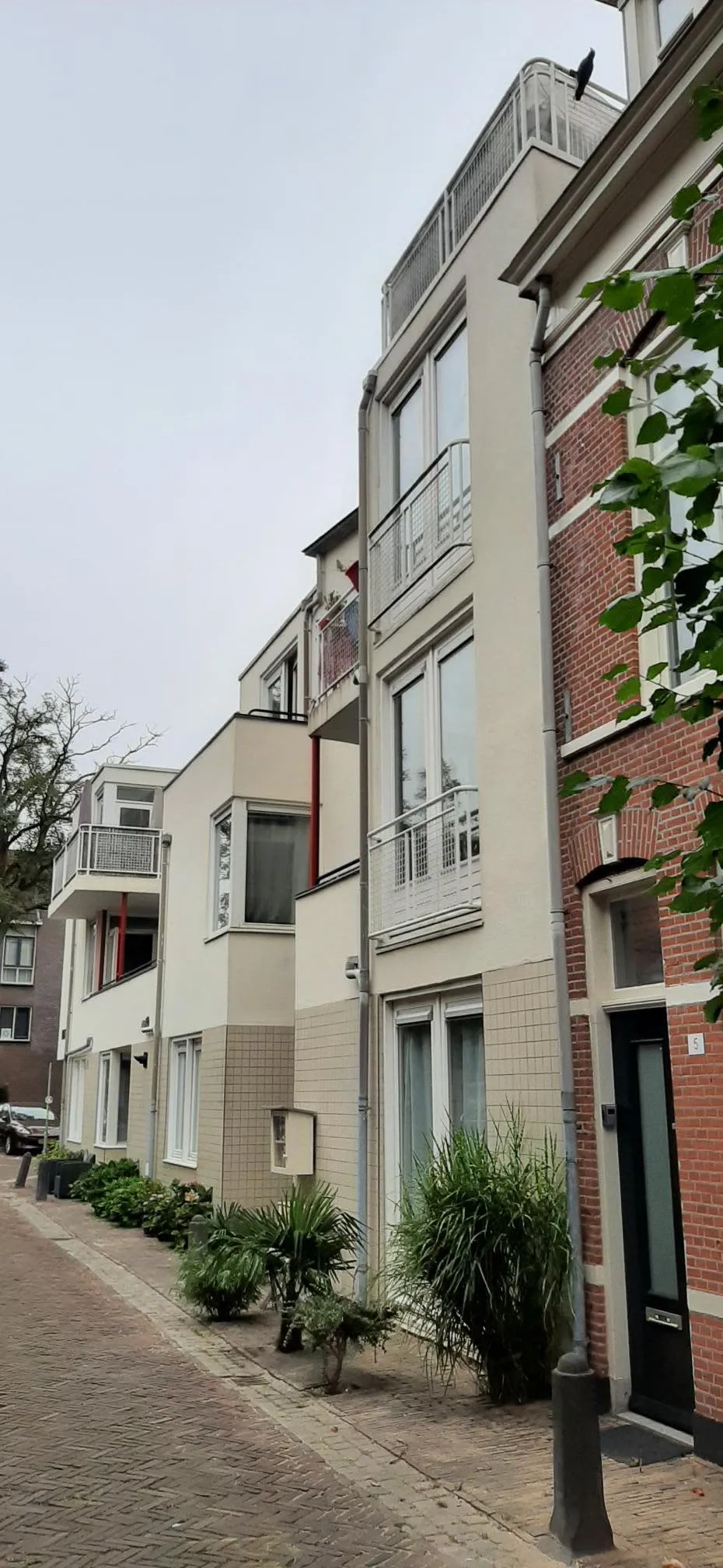 Witte Herenstraat