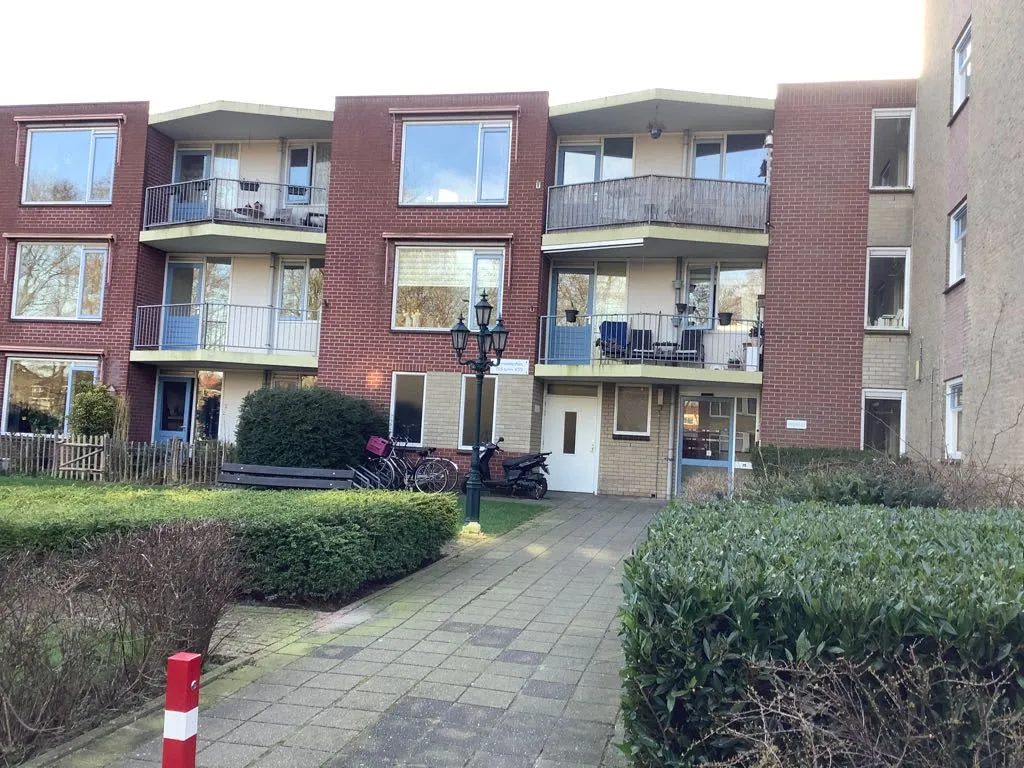 Ornsteinsingel