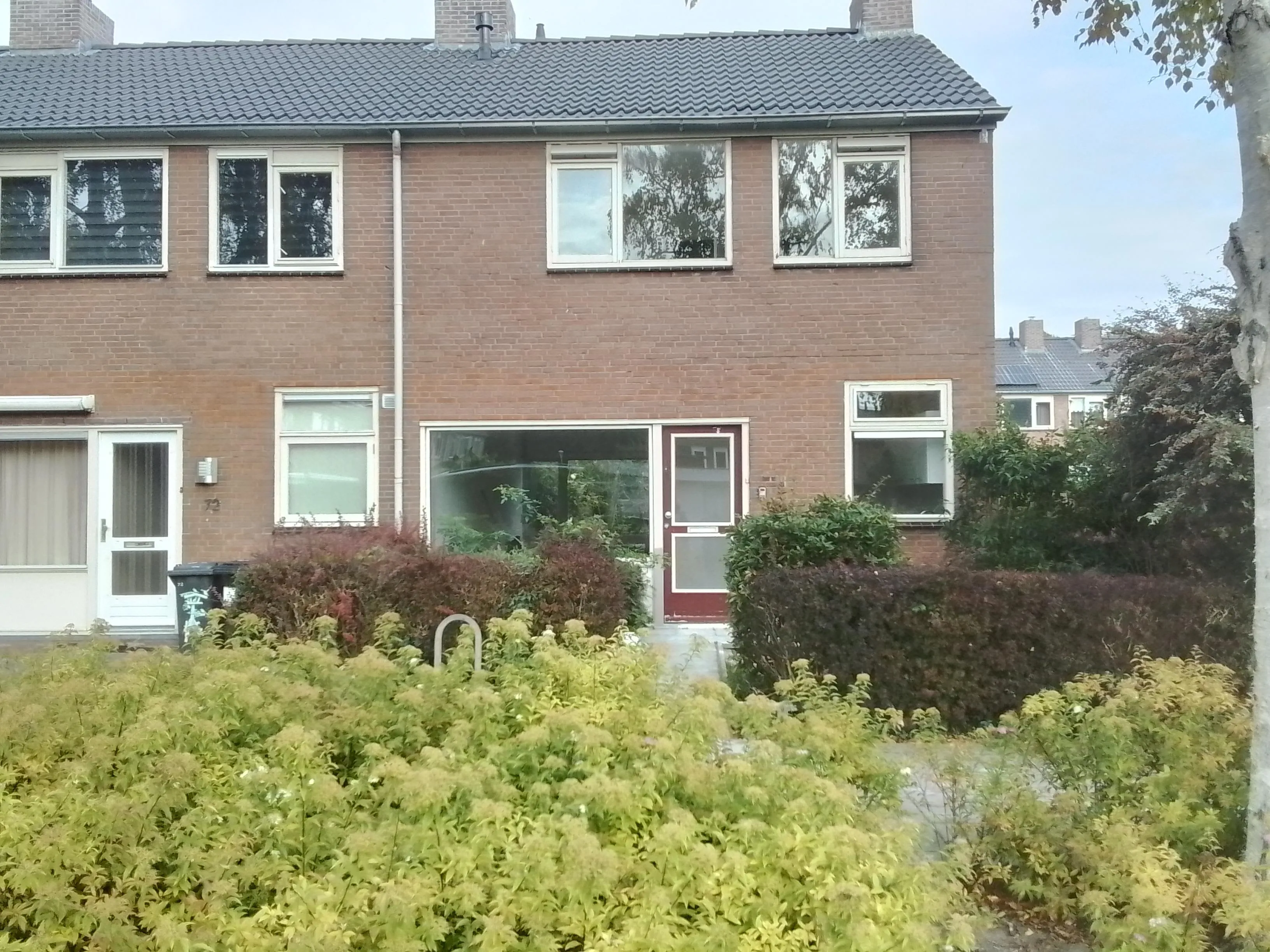 Spechtstraat