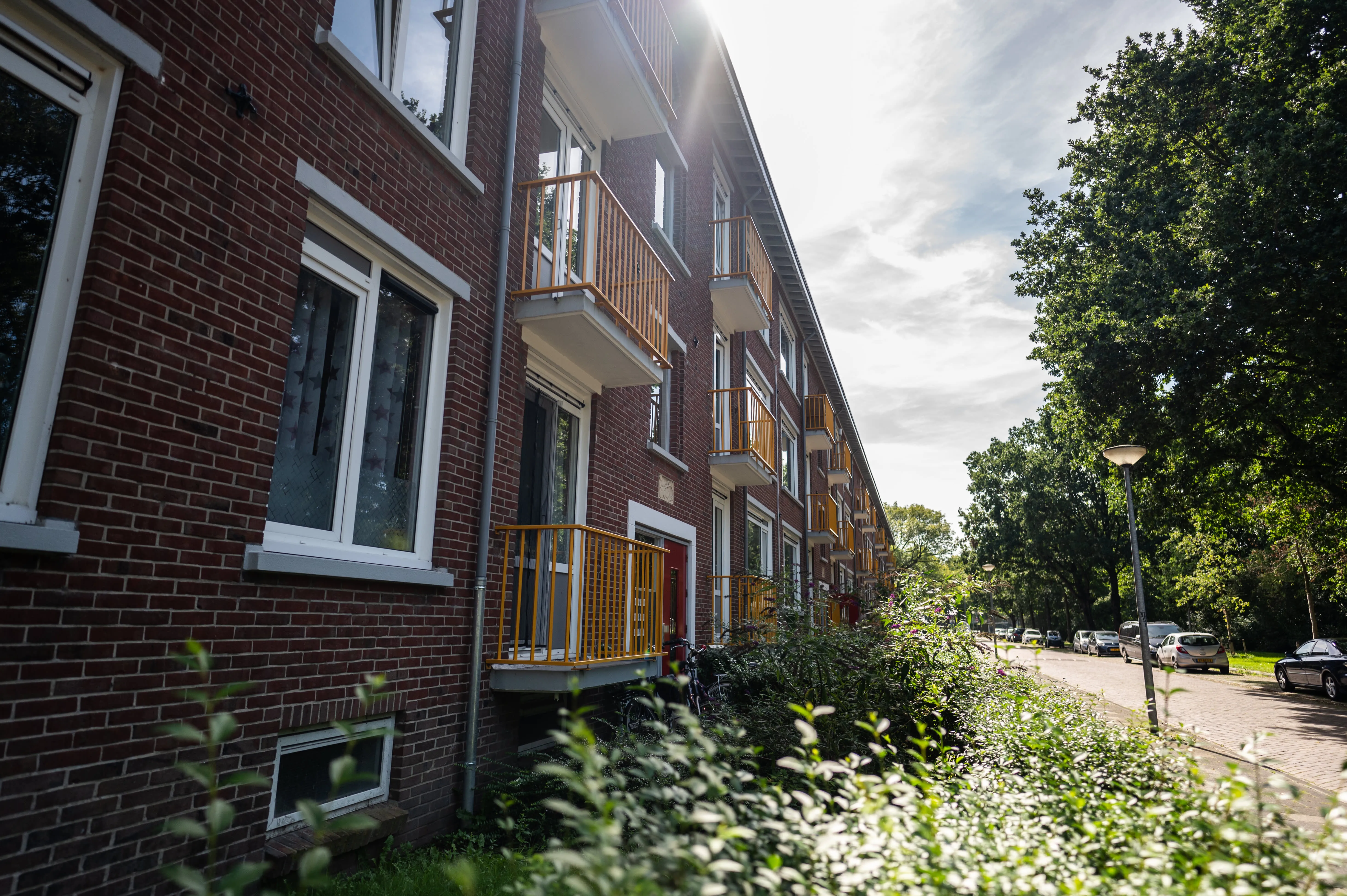 Van Oldenbarneveltlaan