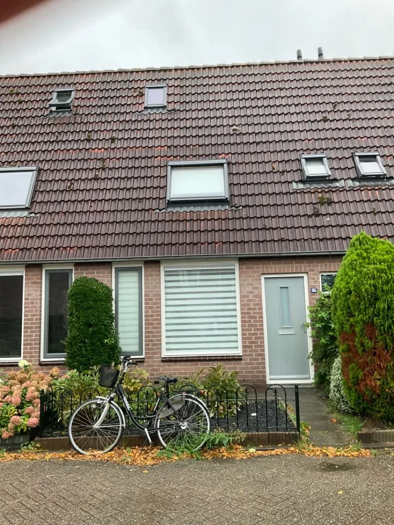 Roos Vosstraat