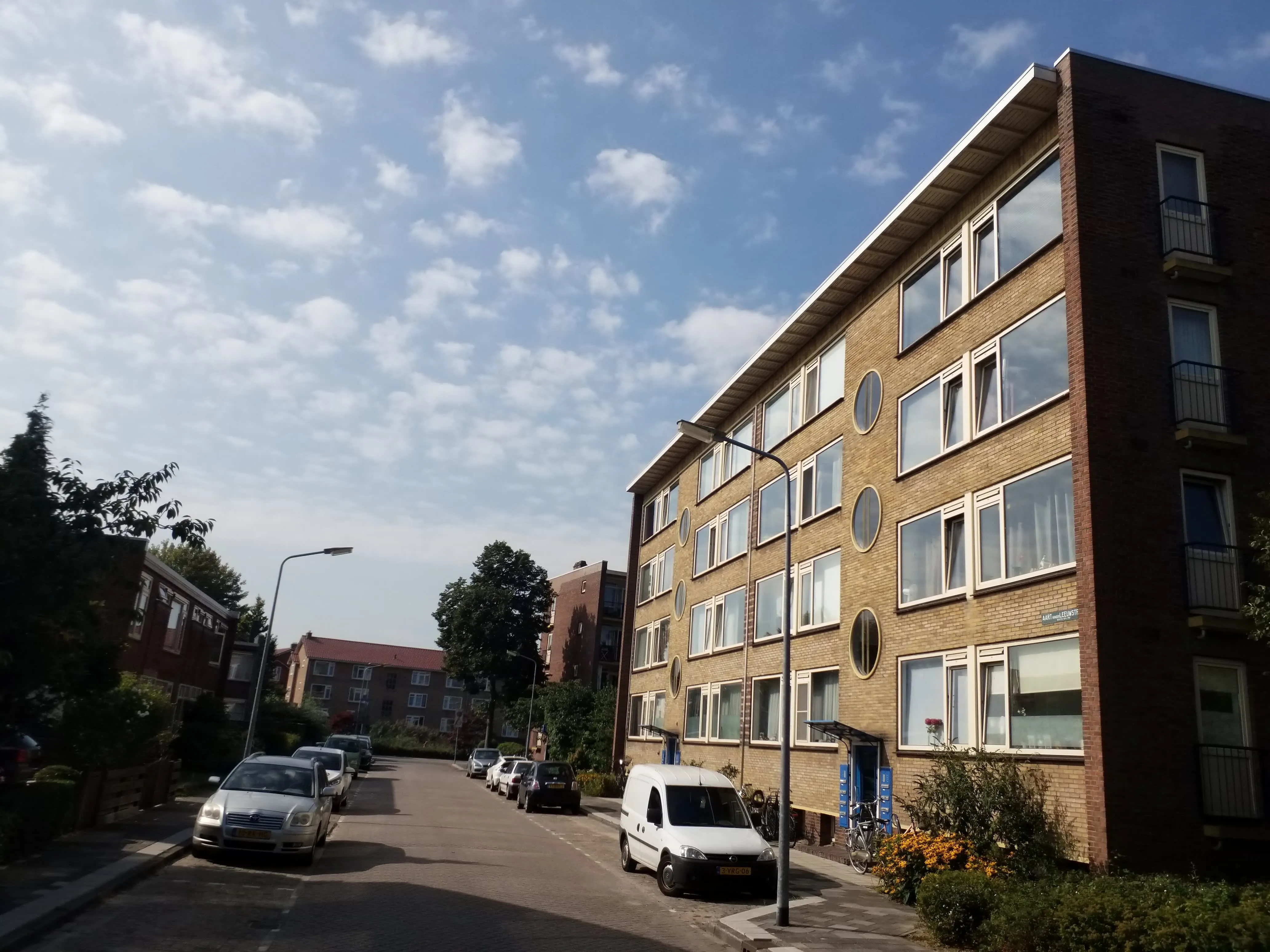 Aart van der Leeuwstraat