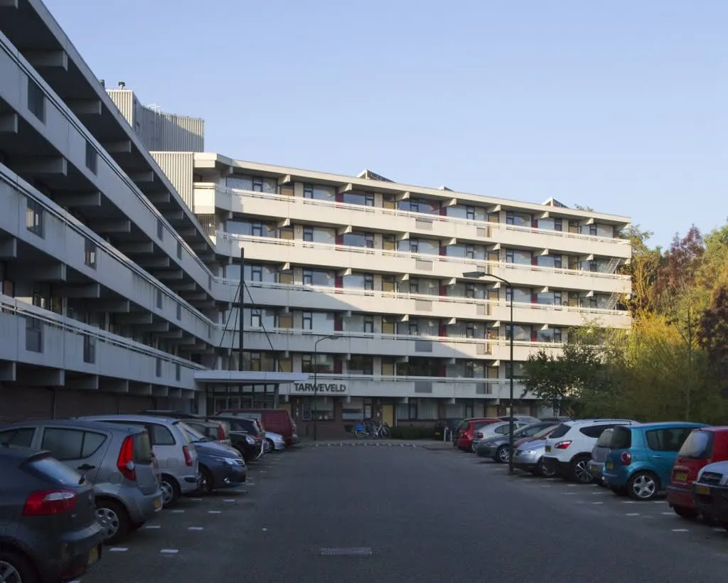 Tarweveld