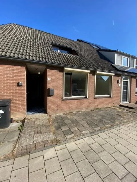 Steenarend
