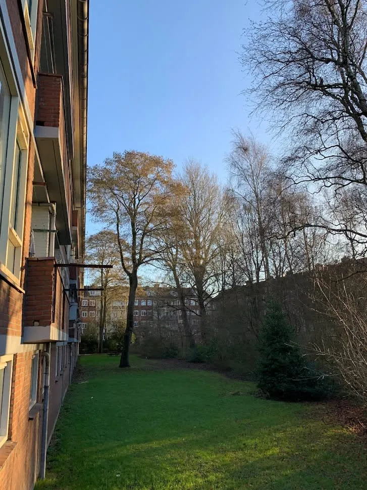 Lijns Tewisz Roggeplein