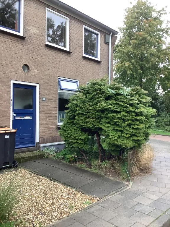 Jonkerstraat