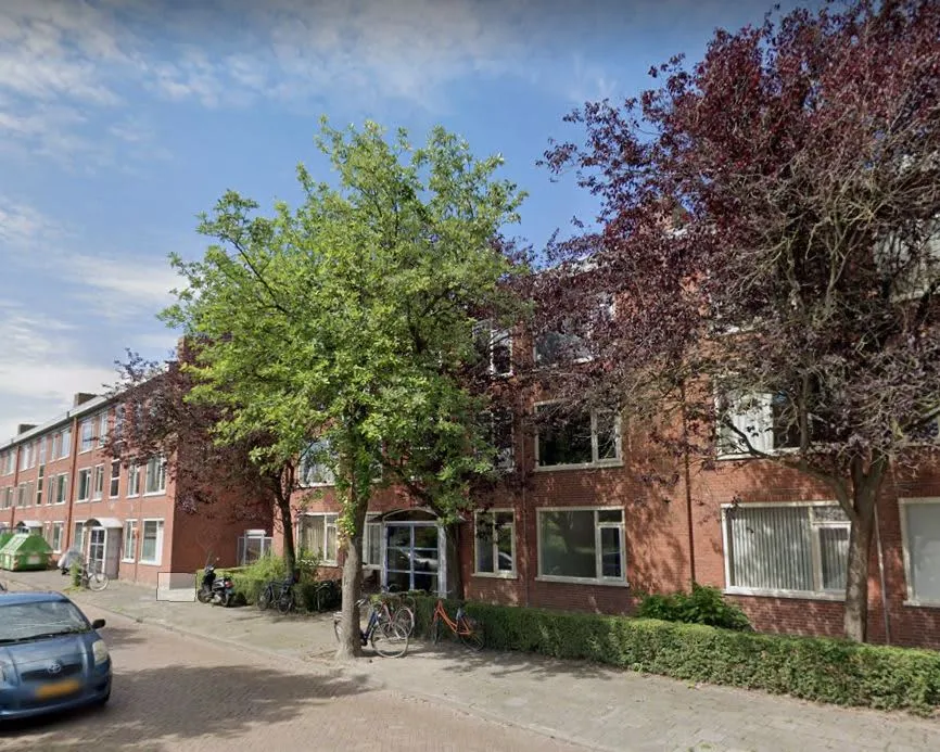 Van Slingelandtstraat