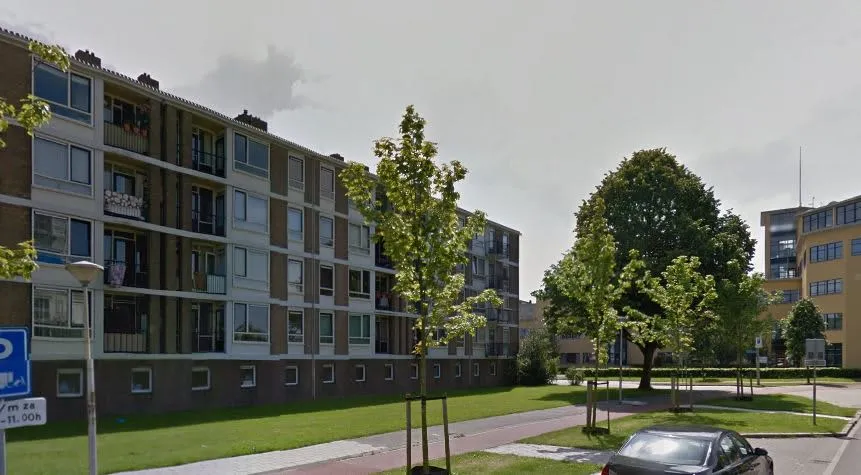 Van Randwijcklaan