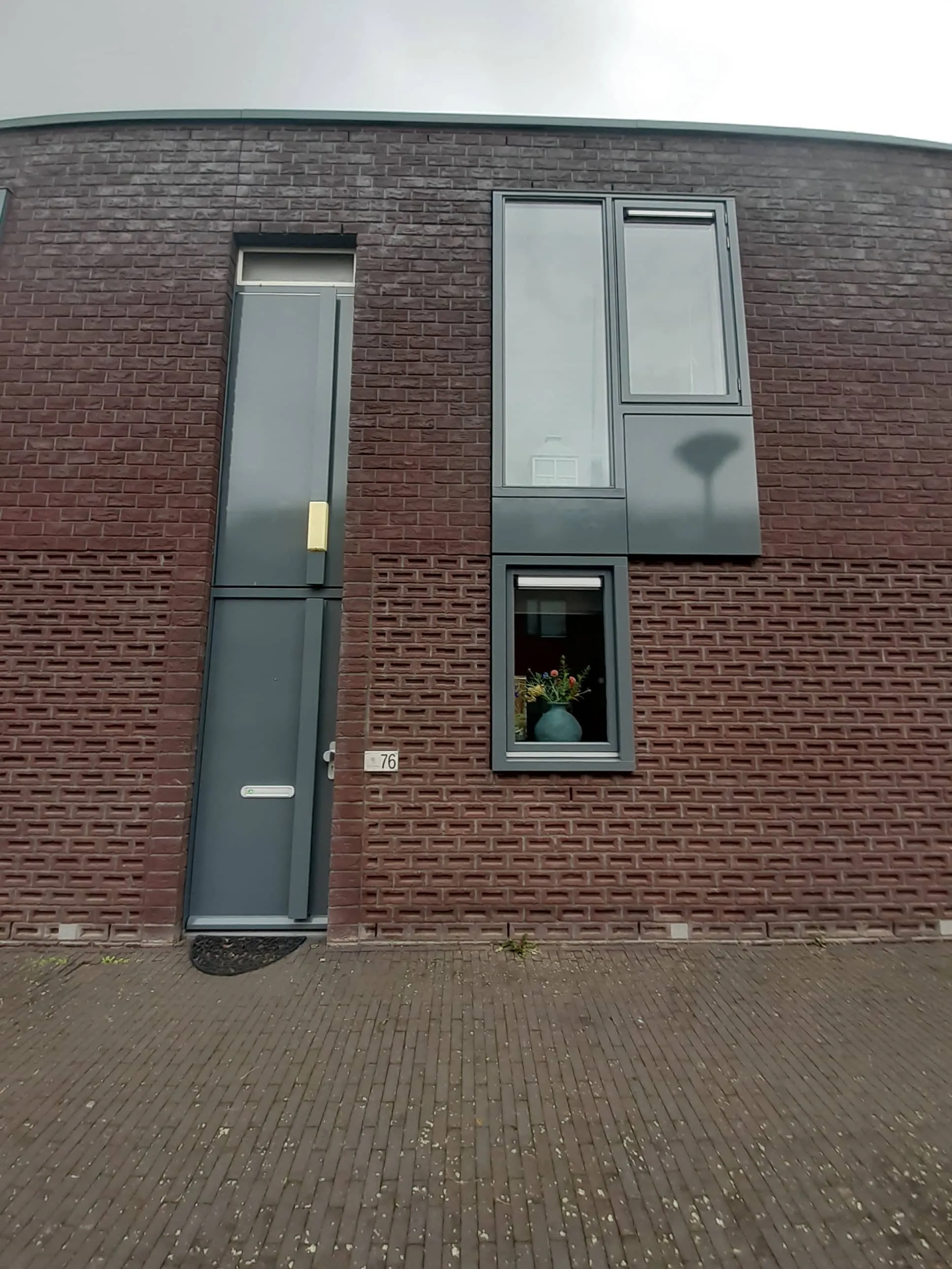 Steenenbaak