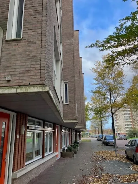 Nederlandlaan