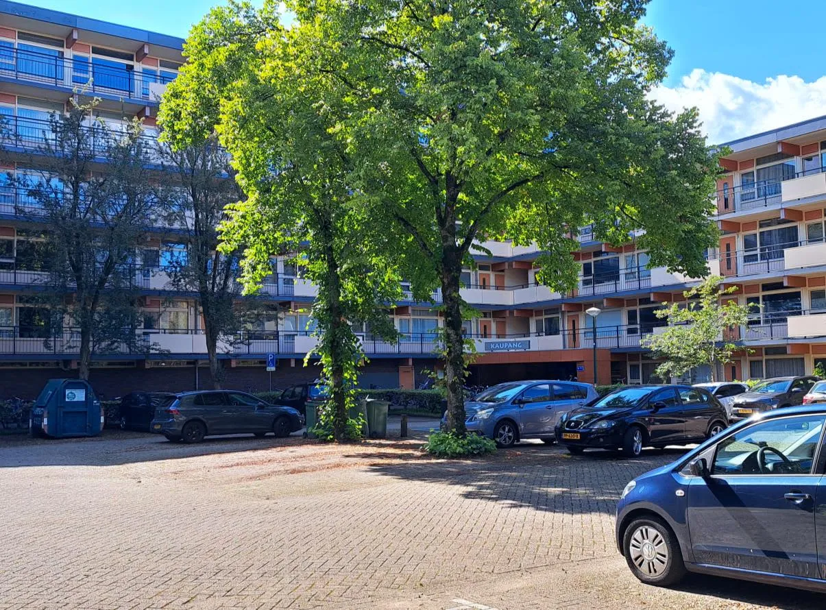 Kaupangstraat
