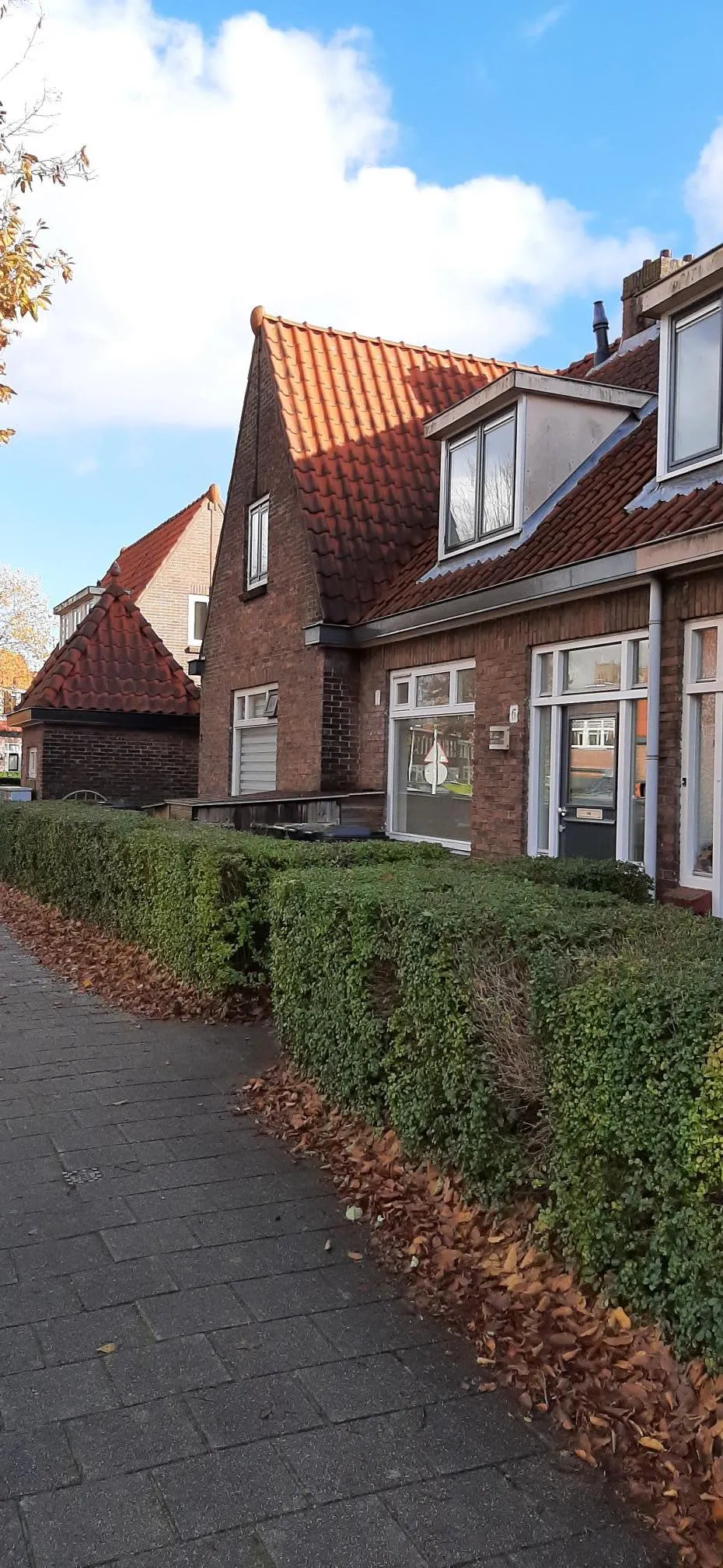 Dahliastraat