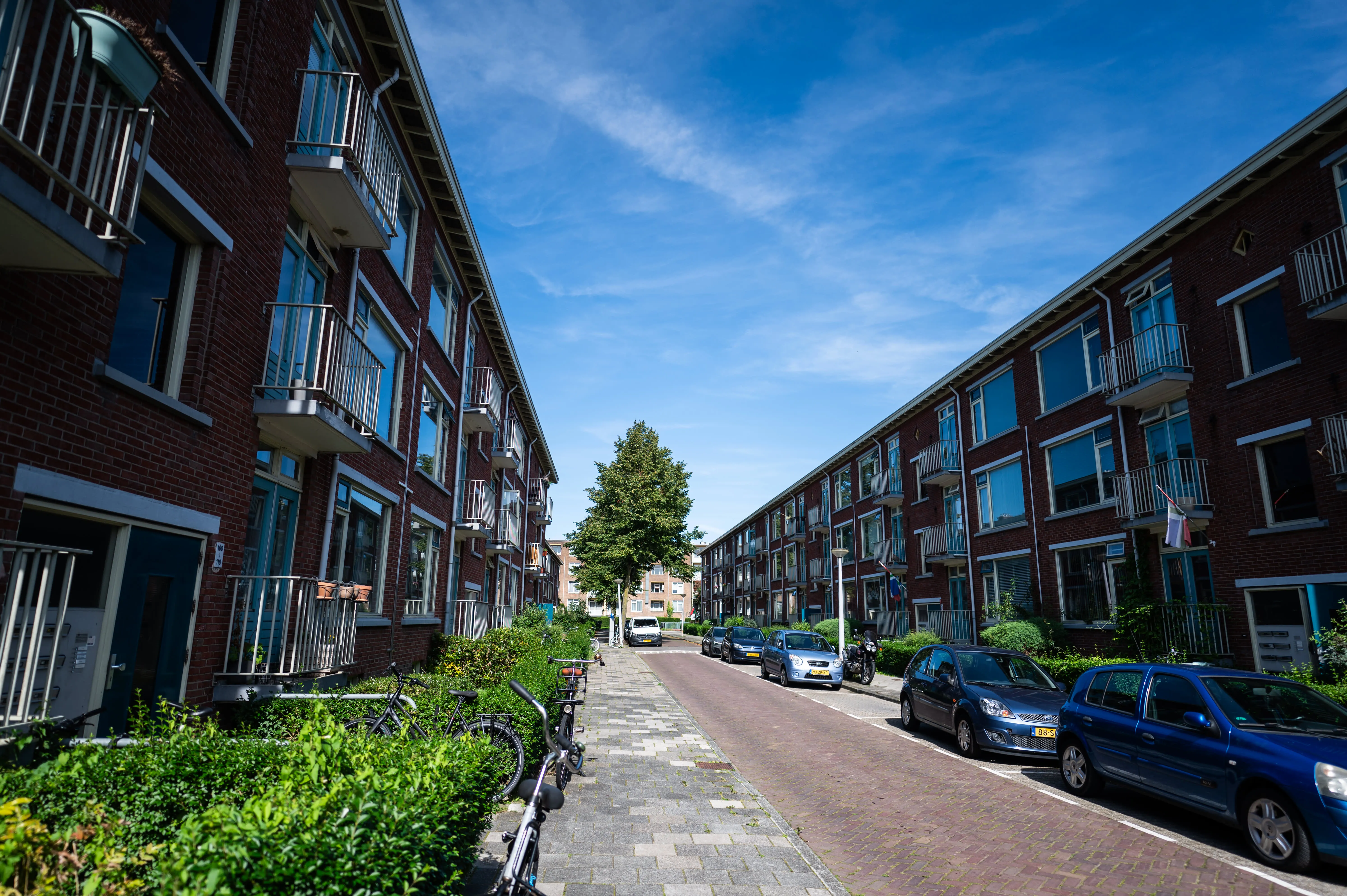 Johan de Wittstraat