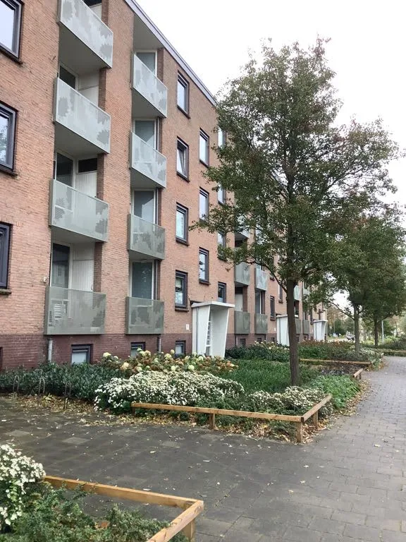 De Savornin Lohmanweg