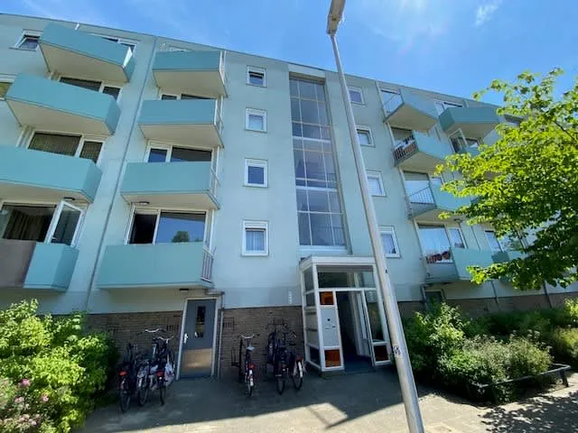 Schonauwensingel