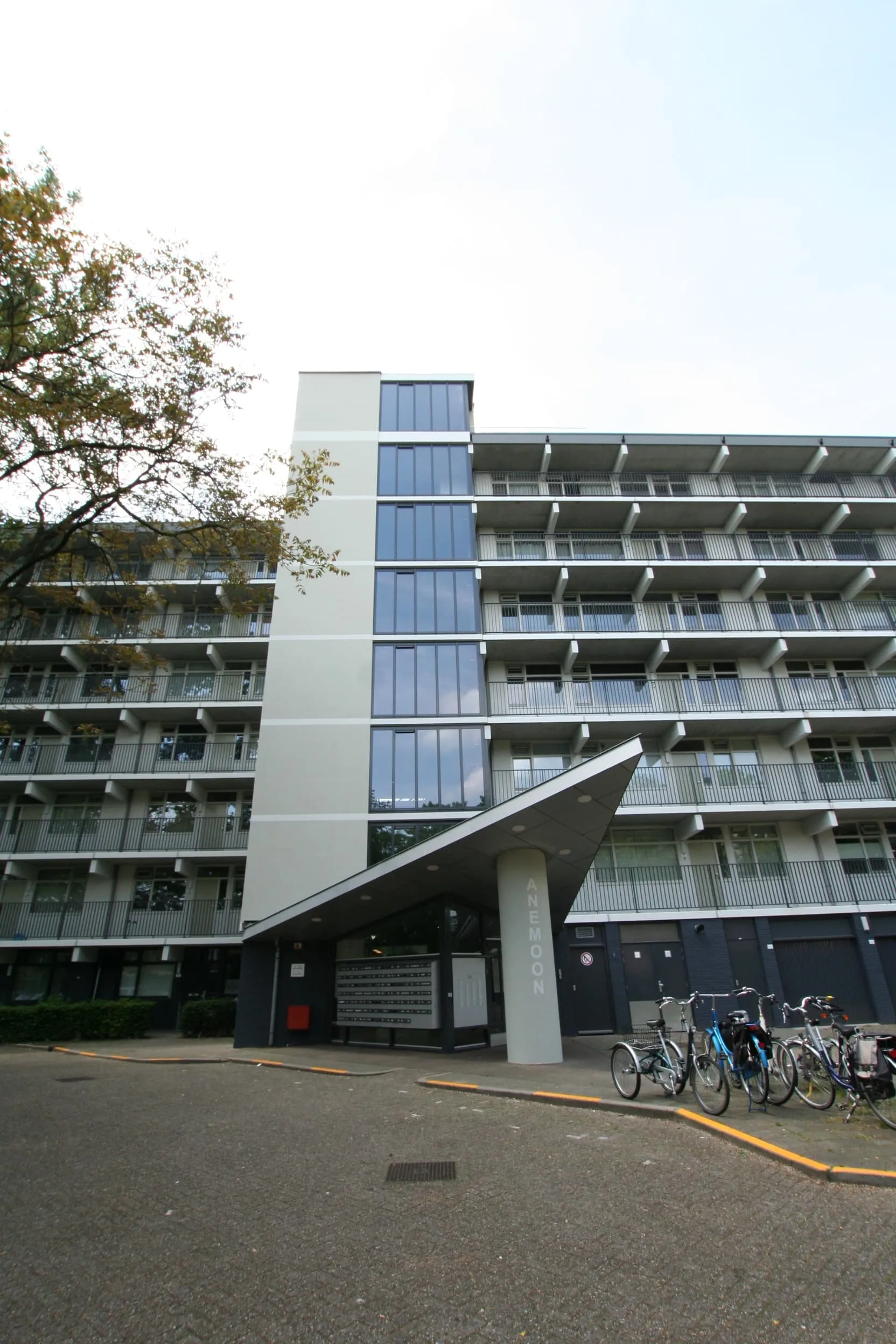 Asterstraat