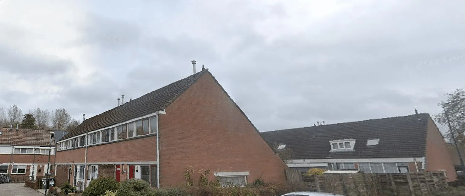 Kamelenspoor