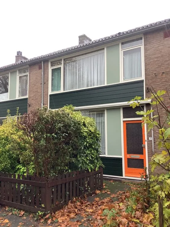 Violenstraat