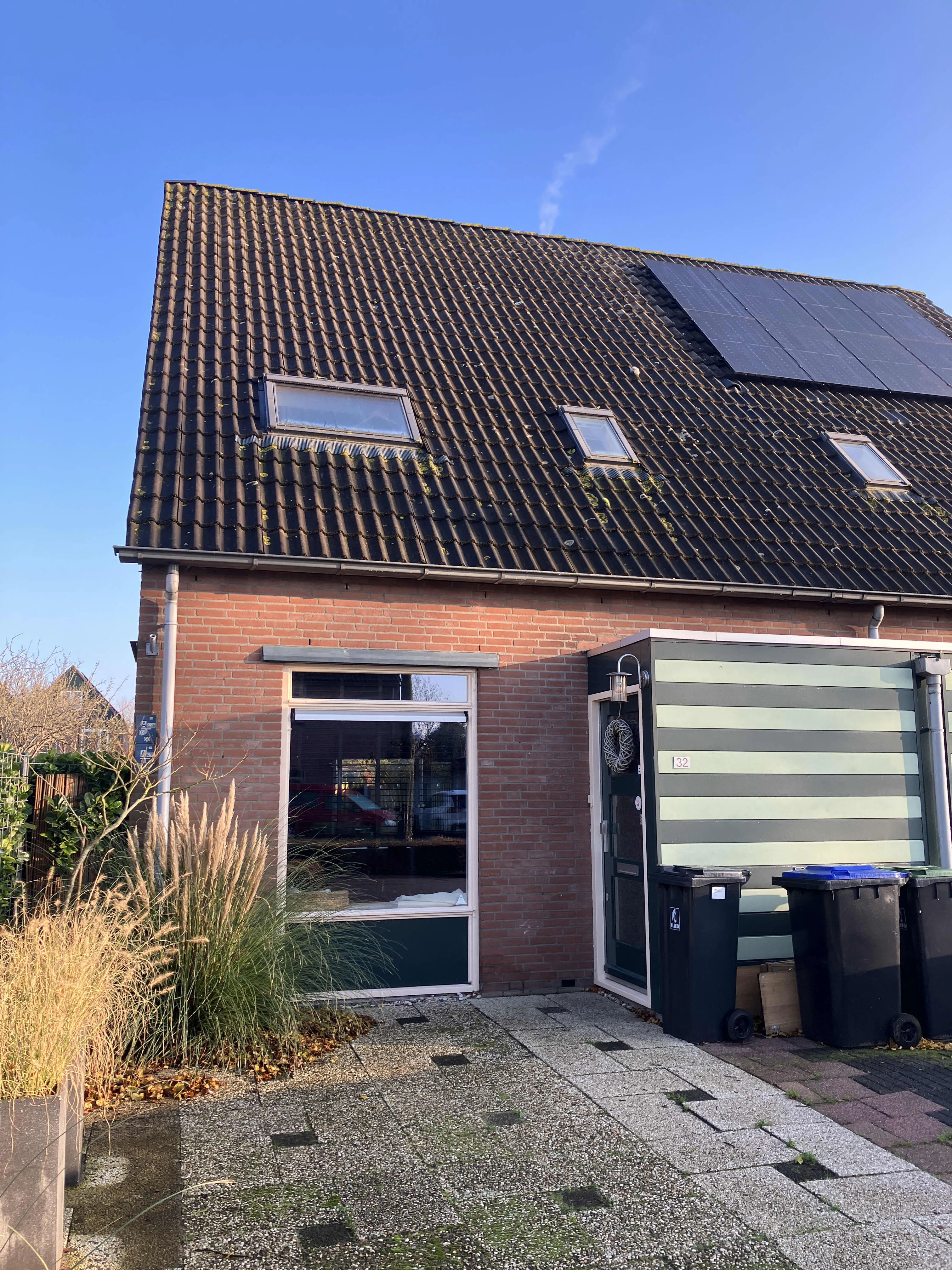Roerdomp