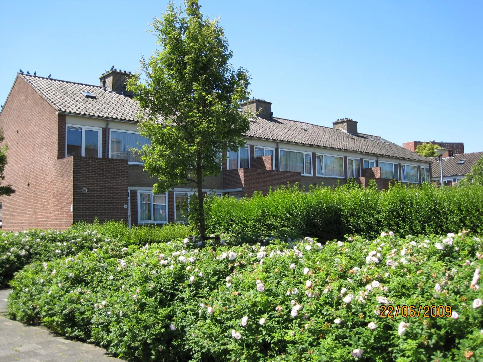 Kochstraat