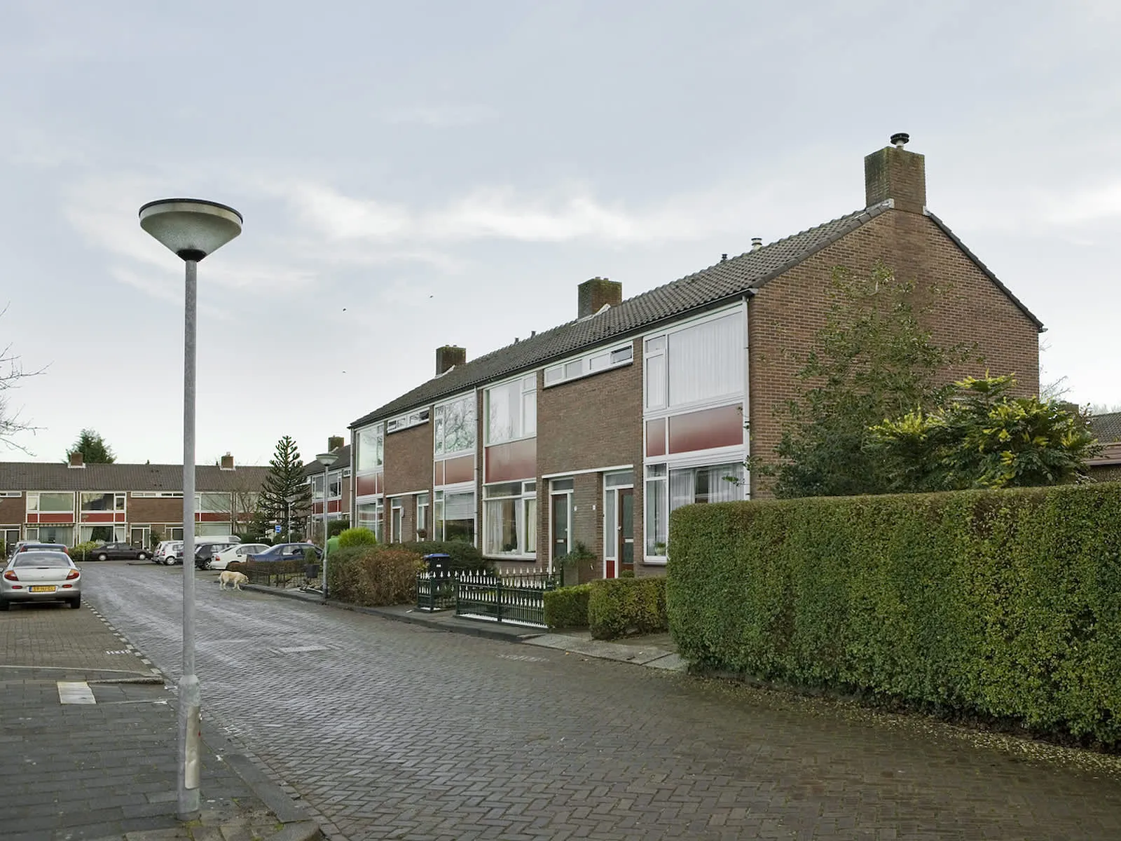 Lijsterbesstraat