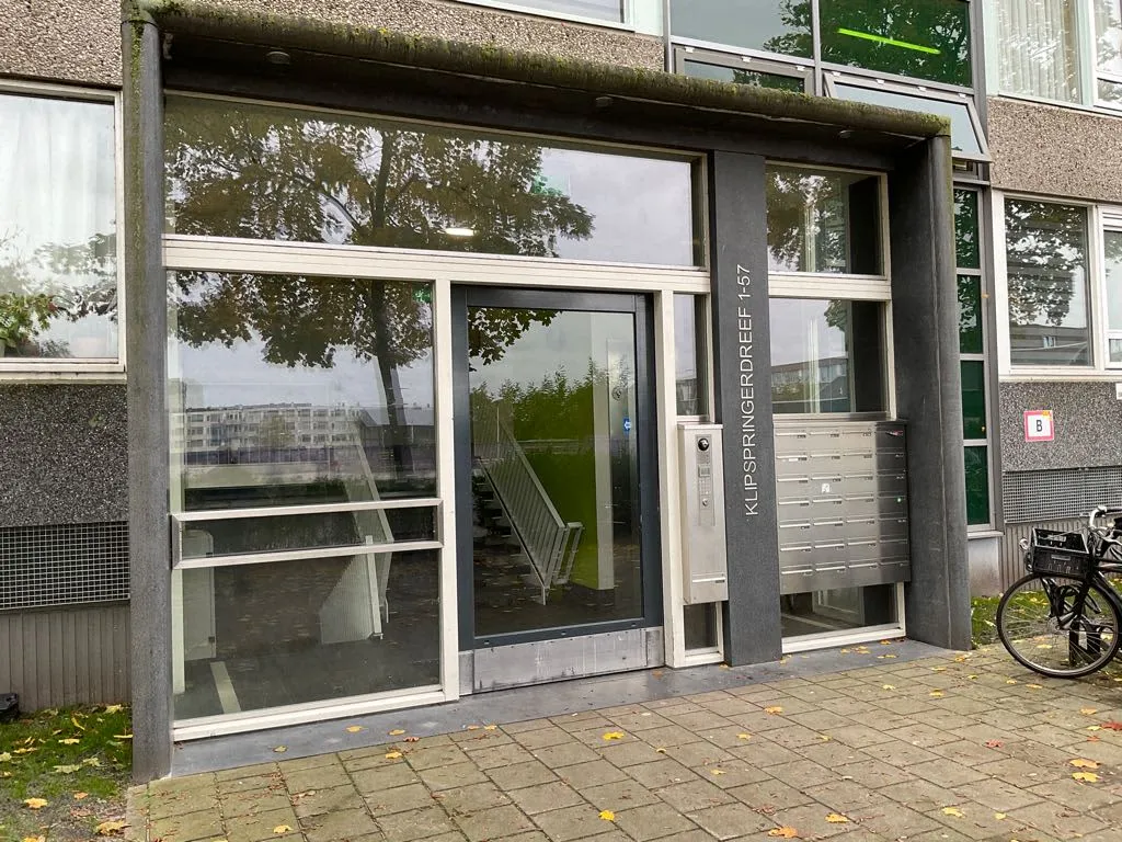 Klipspringerdreef