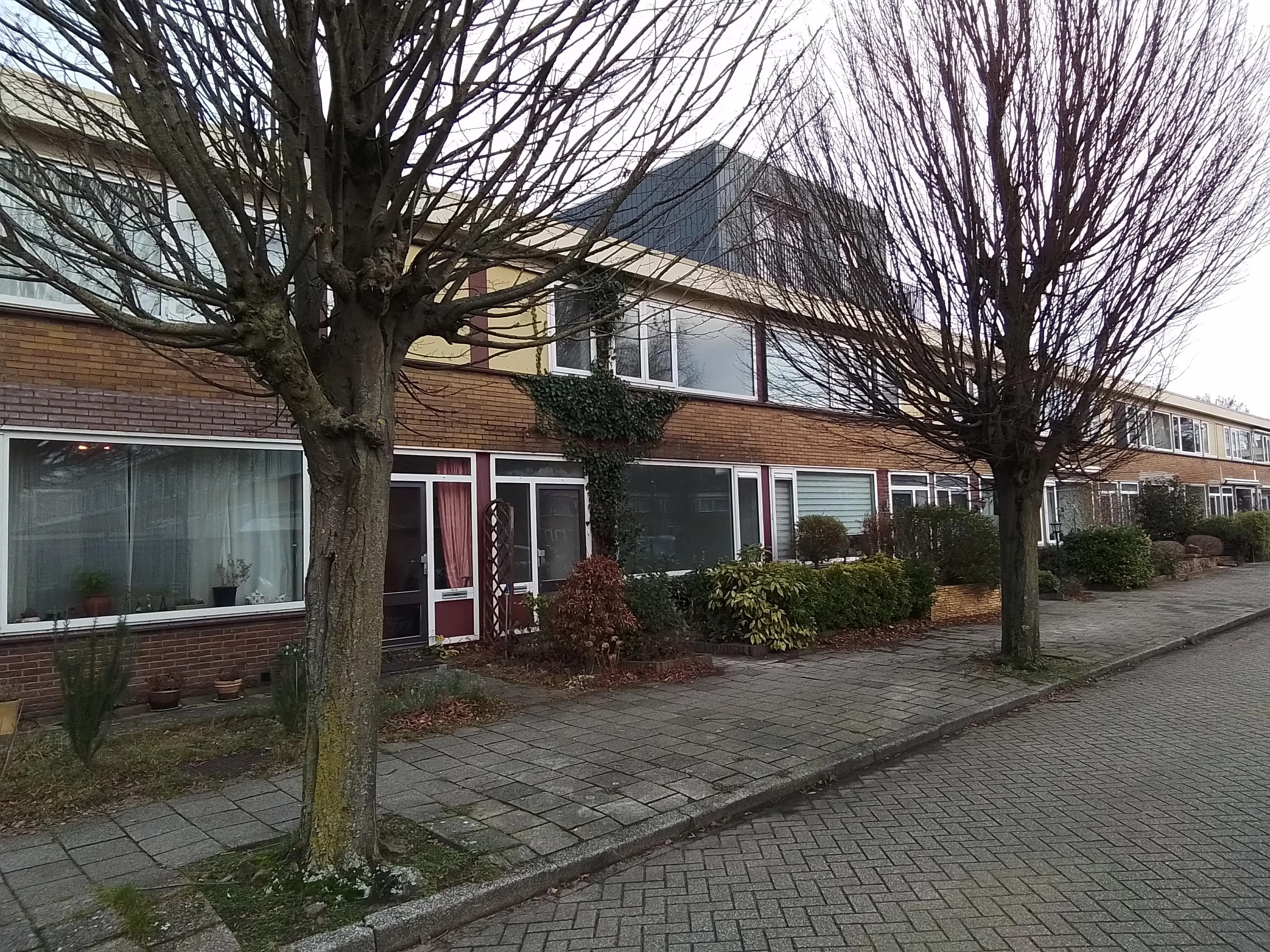 Kikkenstraat