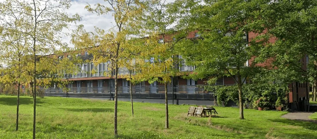 Meerval