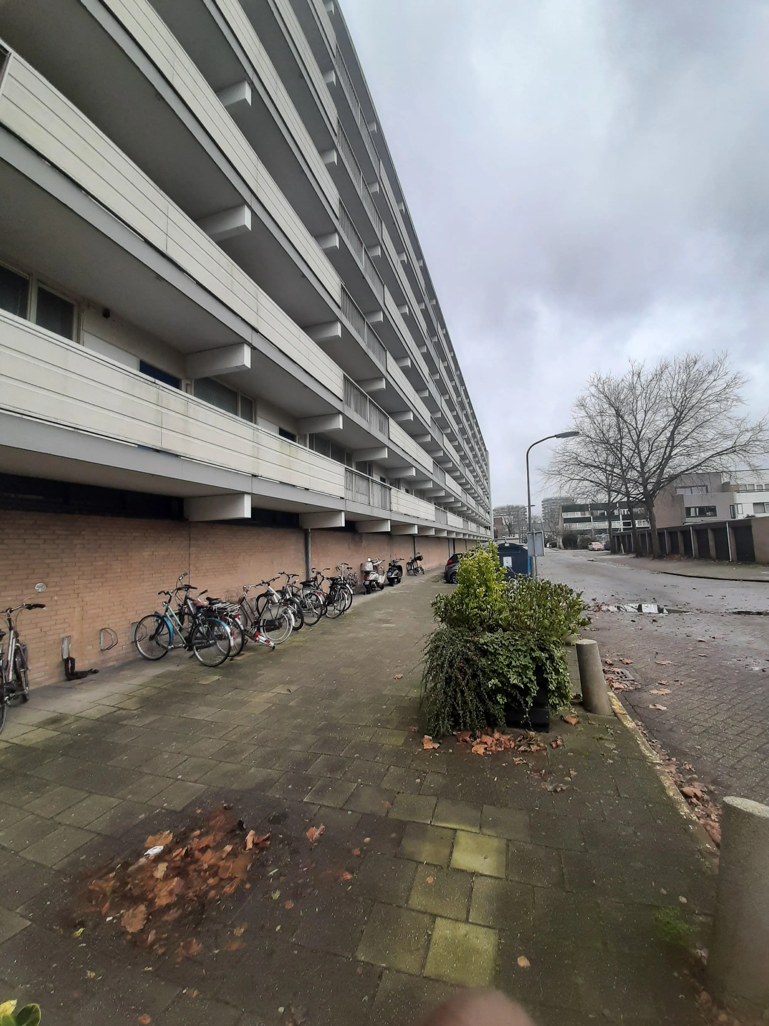 Jan van Zutphenstraat