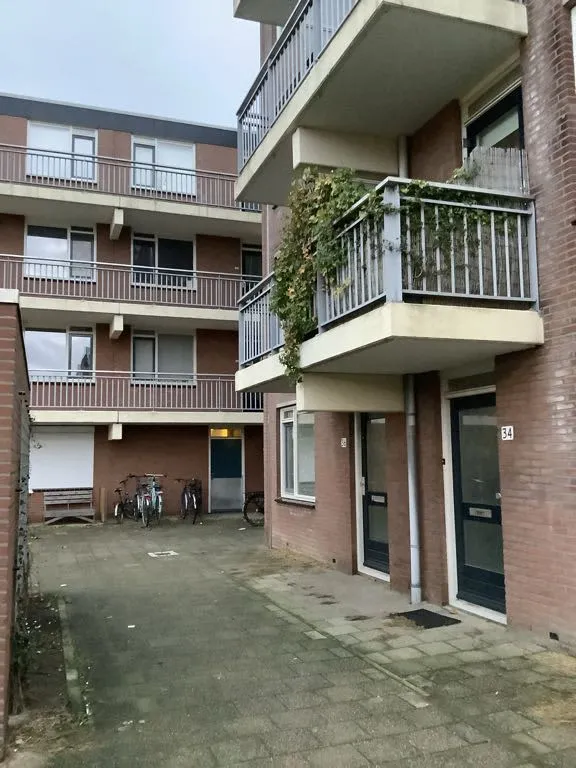 Leeuwerikstraat
