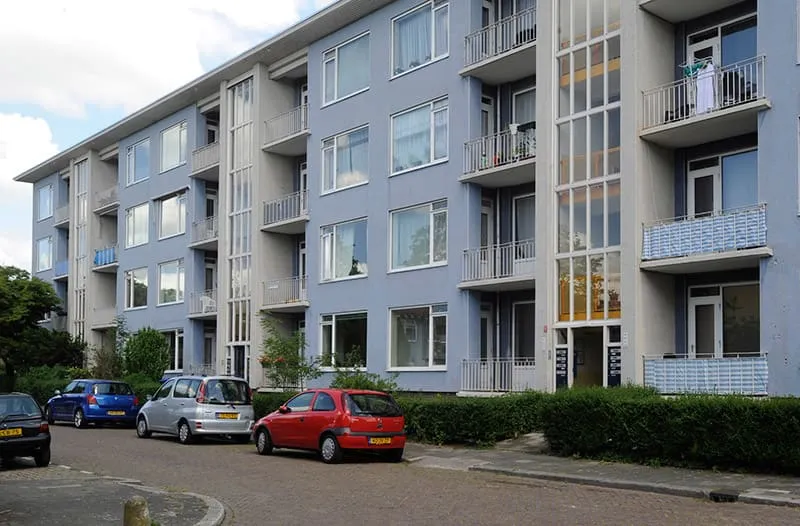 Meerkoetstraat