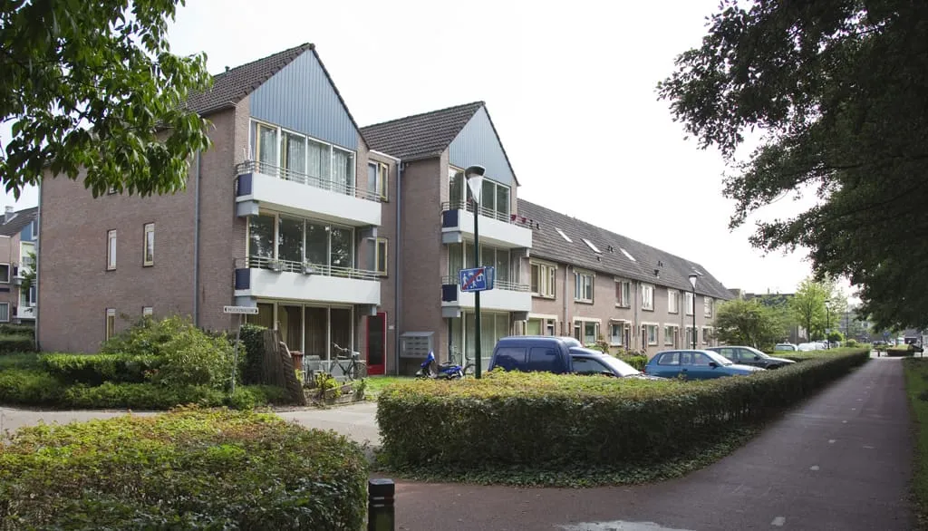 Muurzwaluw