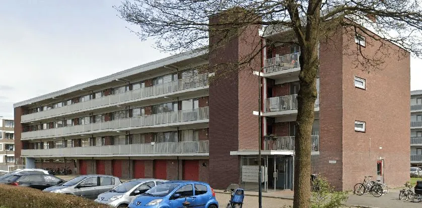 Saenredamplantsoen