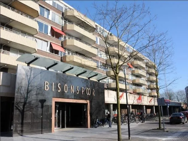 Bisonspoor