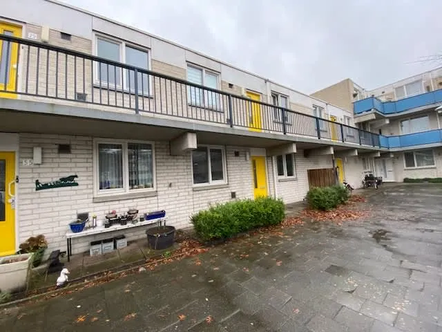 Meervalstraat