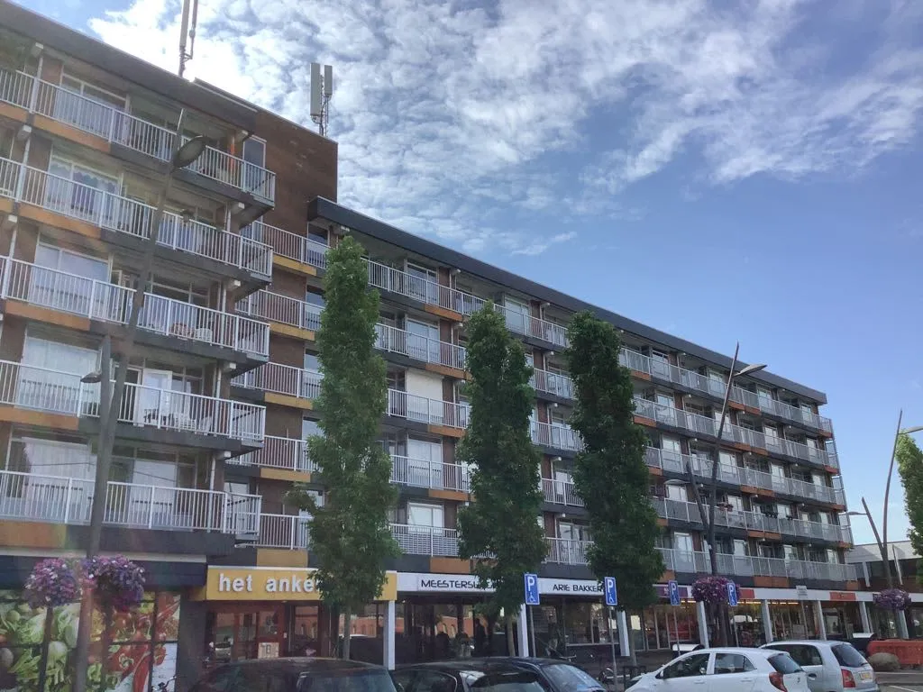 Wilgenplein