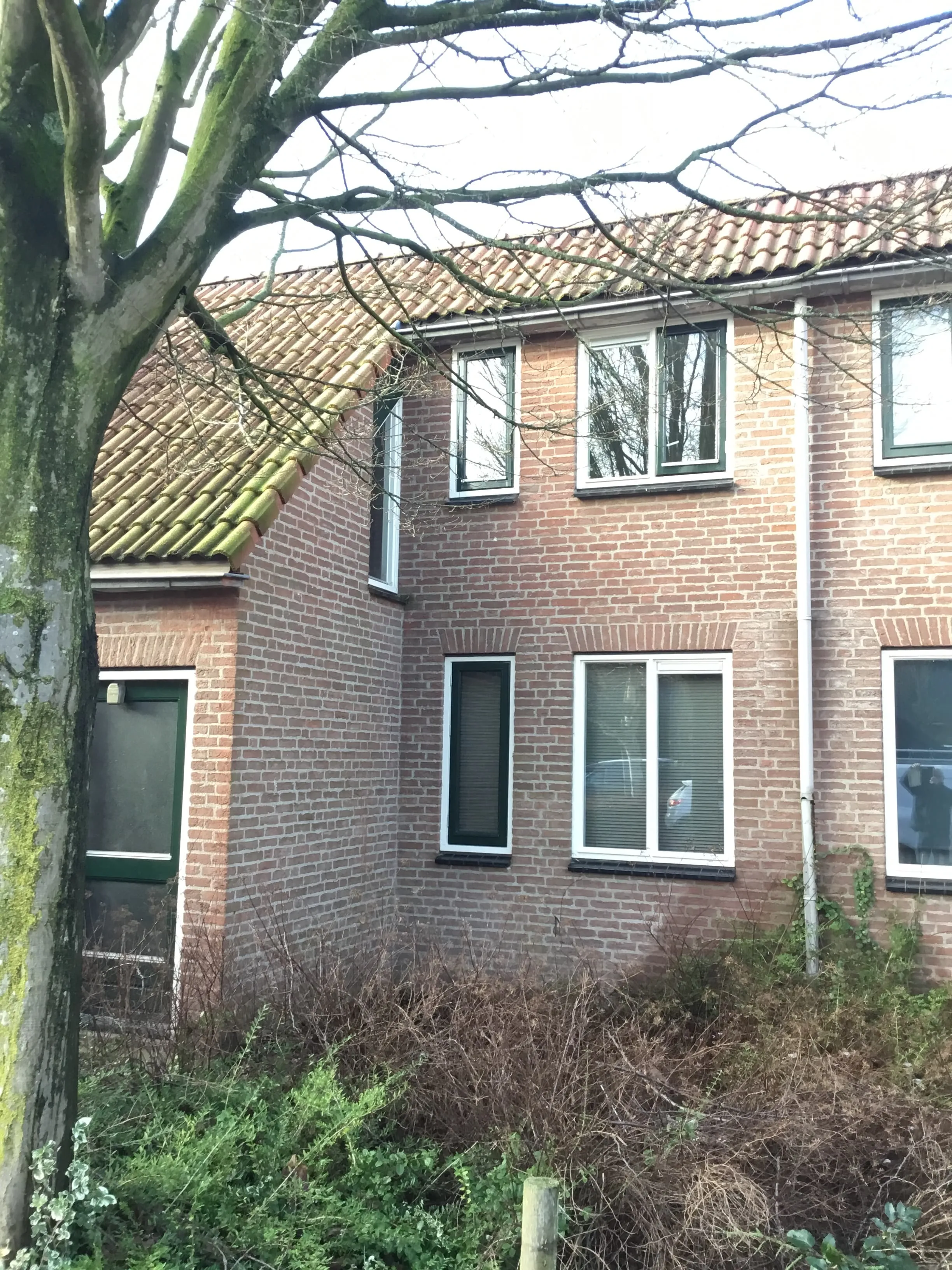 Het Binnenveld