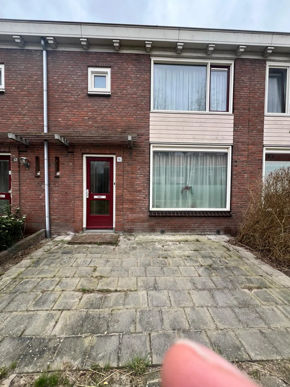 Schepelplantsoen
