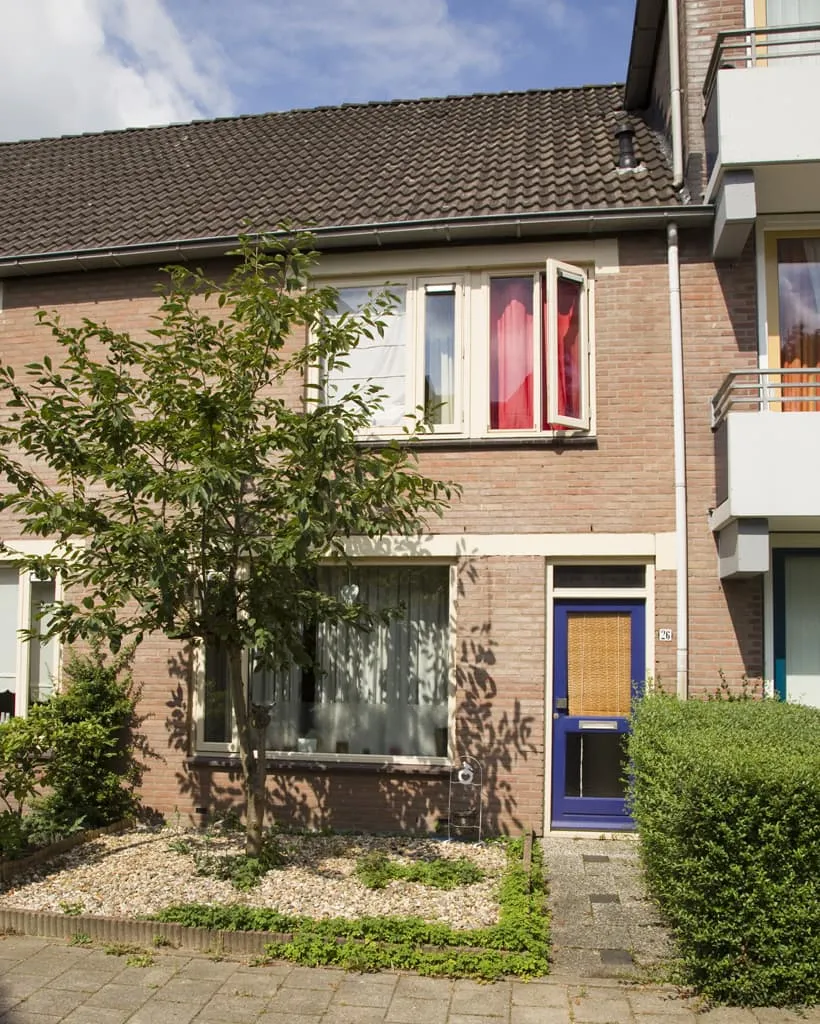 Nachtzwaluw