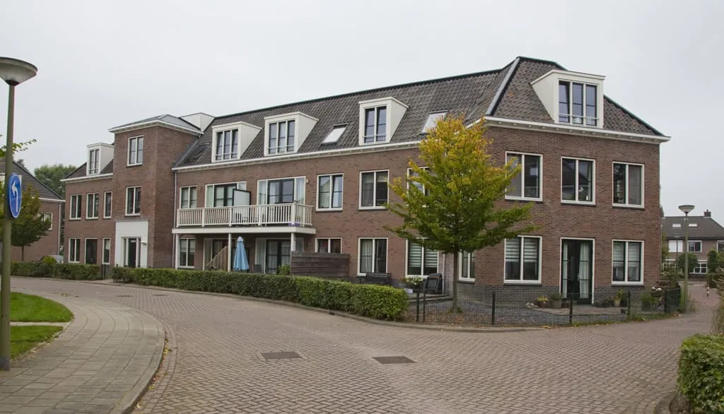 Gelderse Roos