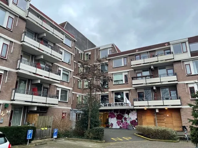 Mezendaal